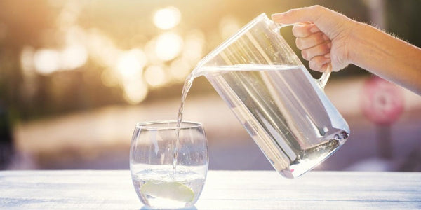 Where Does Water Go When You Drink It?